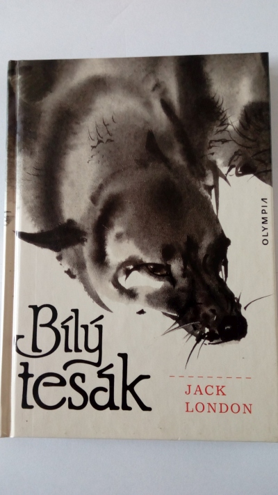 Bílý tesák