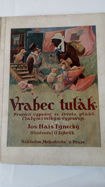 Vrabec tulák