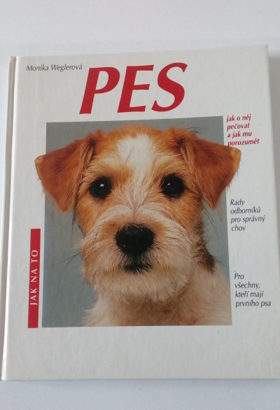 Pes
