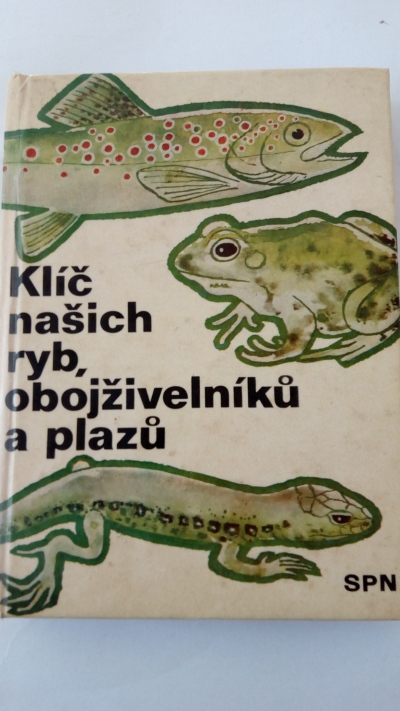 Klíč našich ryb, obojživelníků a plazů