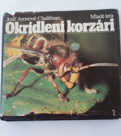 Okrídlení korzári