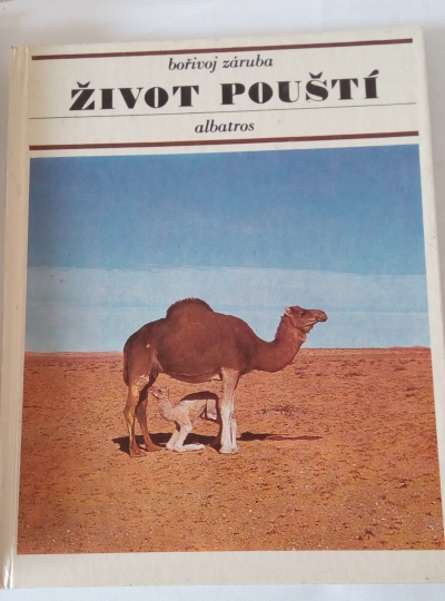 Život pouští