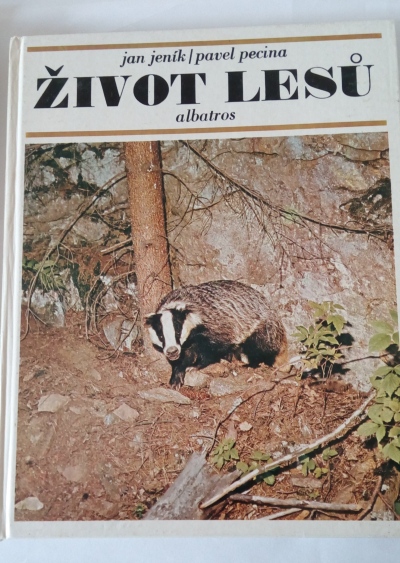 Život lesů