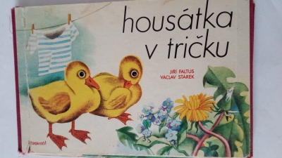 Housátka v tričku