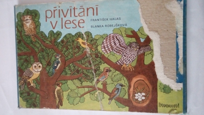 Přivítání v lese