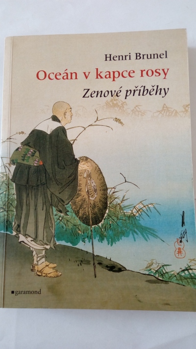 Oceán v kapce rosy