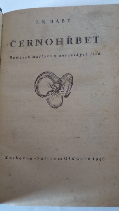 Černohřbet