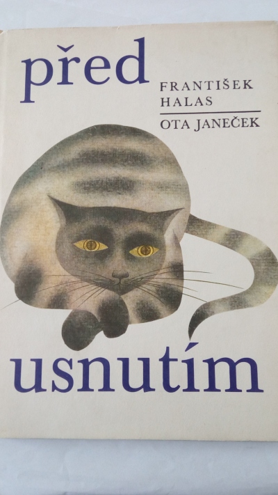 Před usnutím