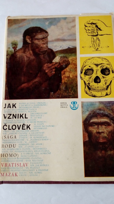 Jak vznikl člověk