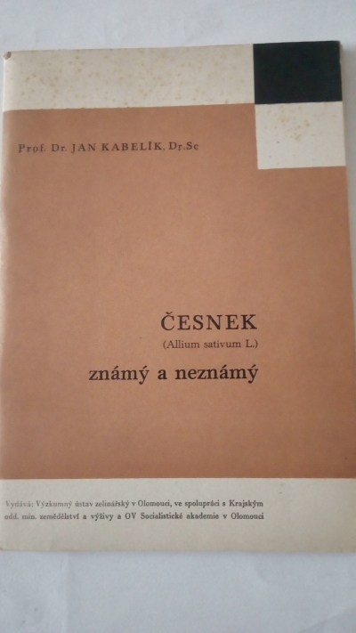 Česnek známý i neznámý