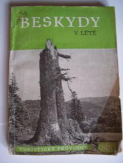 Beskydy v létě