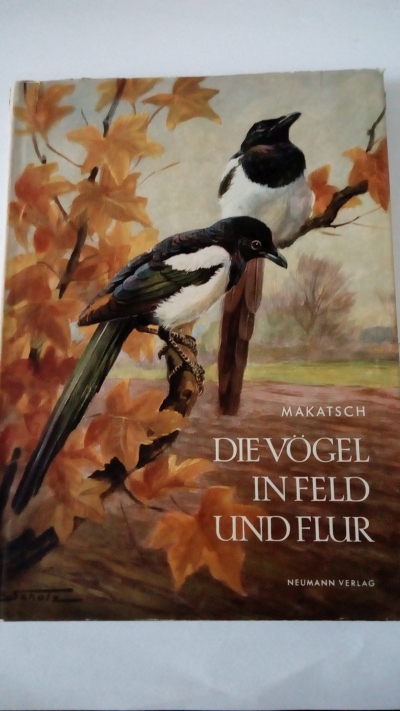 Die Vögel in Feld und Flur
