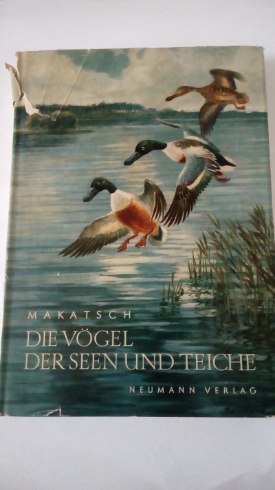 Die Vögel der seen und Teiche