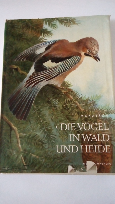 Die Vögel in Wald und Heide