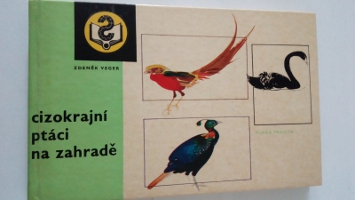 Cizokrajní ptáci na zahradě