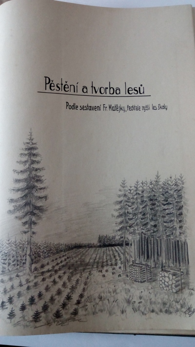 Pěstění a tvorba lesů