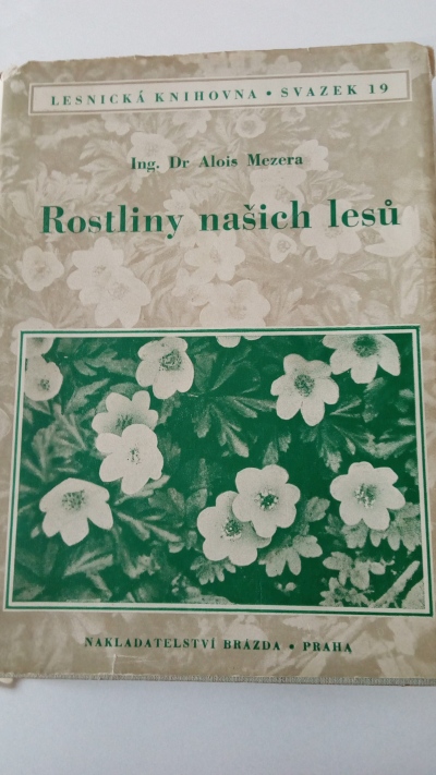 Rostliny našich lesů