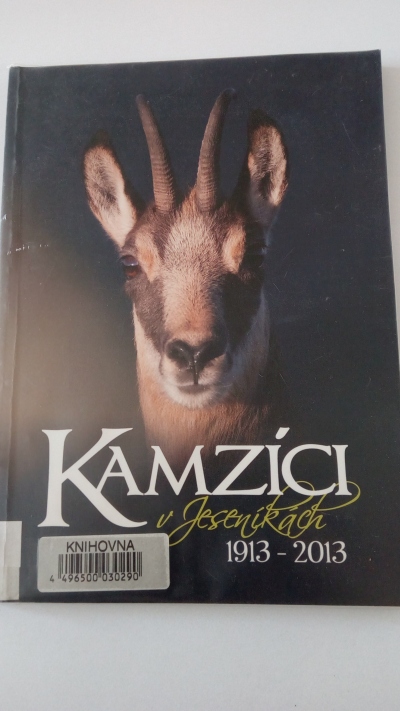 Kamzíci v Jeseníkách