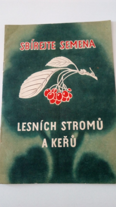 Sbírejte semena lesních stromů a keřů