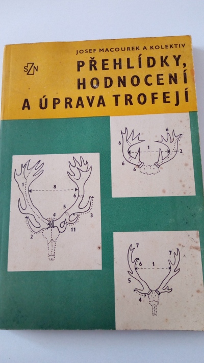 Přehlídky, hodnocení a úprava trofejí