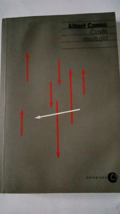Člověk revoltující