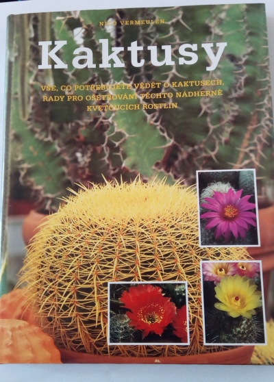 Kaktusy