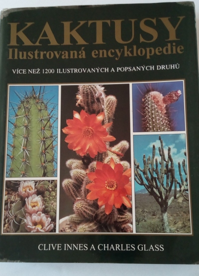 Kaktusy
