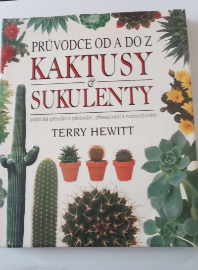 Kaktusy & sukulenty