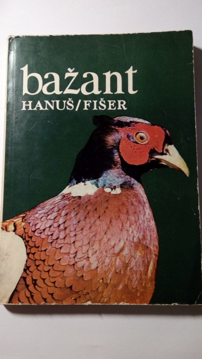 Bažant