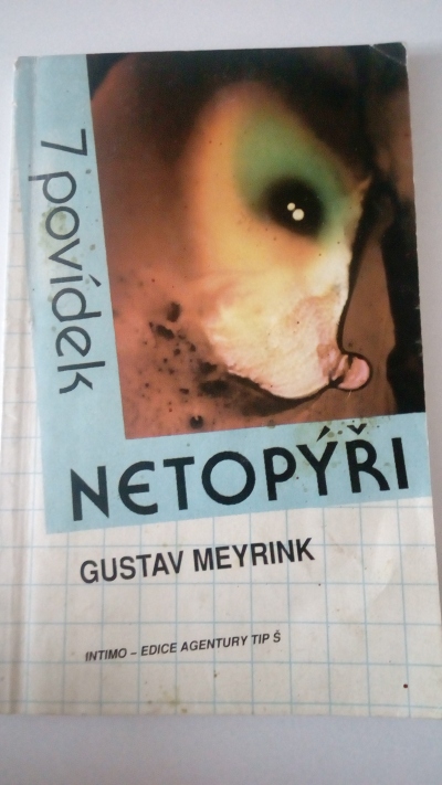 Netopýři