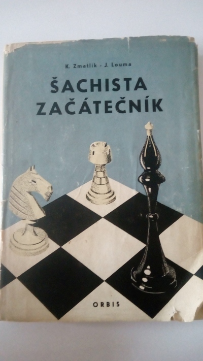 Šachista začátečník
