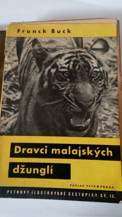 Dravci malajských džunglí