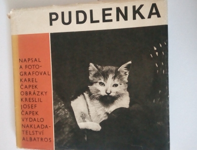 Pudlenka