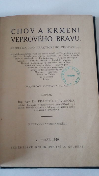 Chov a krmení vepřového bravu