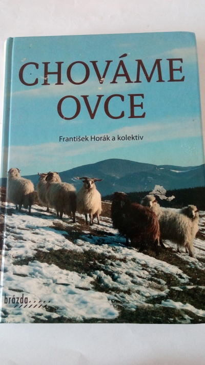 Chováme ovce