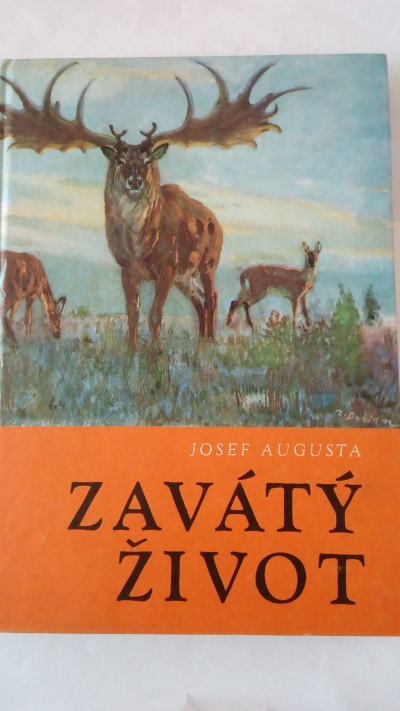 Zavátý život