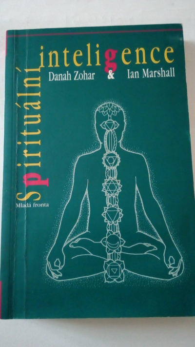 Spirituální inteligence