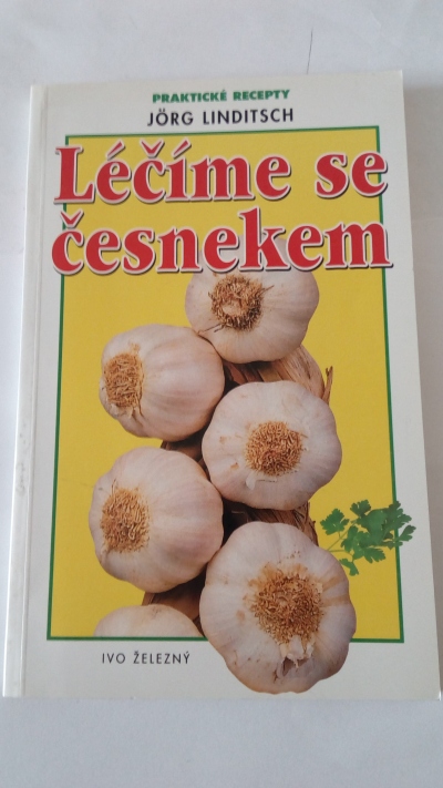 Léčíme se česnekem