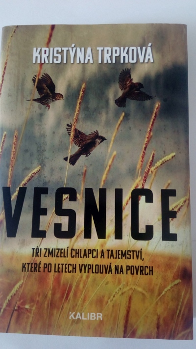 Vesnice