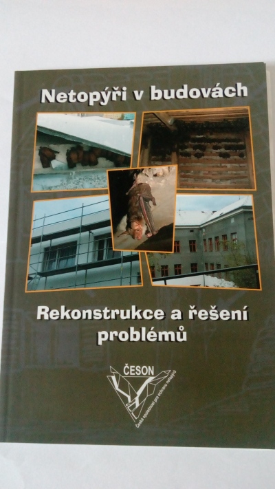 Netopýři v budovách – Rekonstrukce a řešení problémů