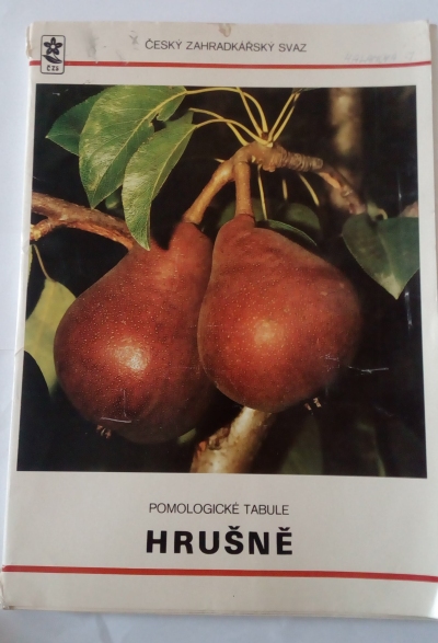 Hrušně
