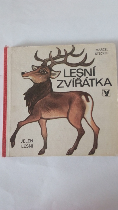 Lesní zvířátka