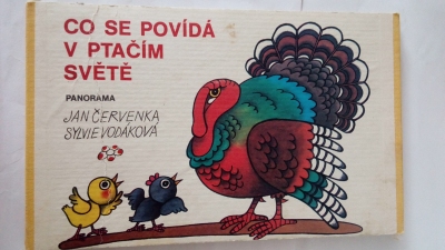Co se povídá v ptačím světě