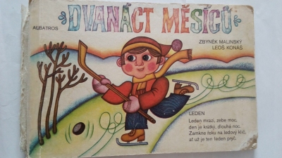 Dvanáct měsíců