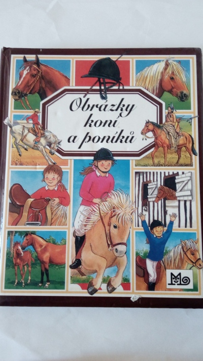 Obrázky koní a poníků