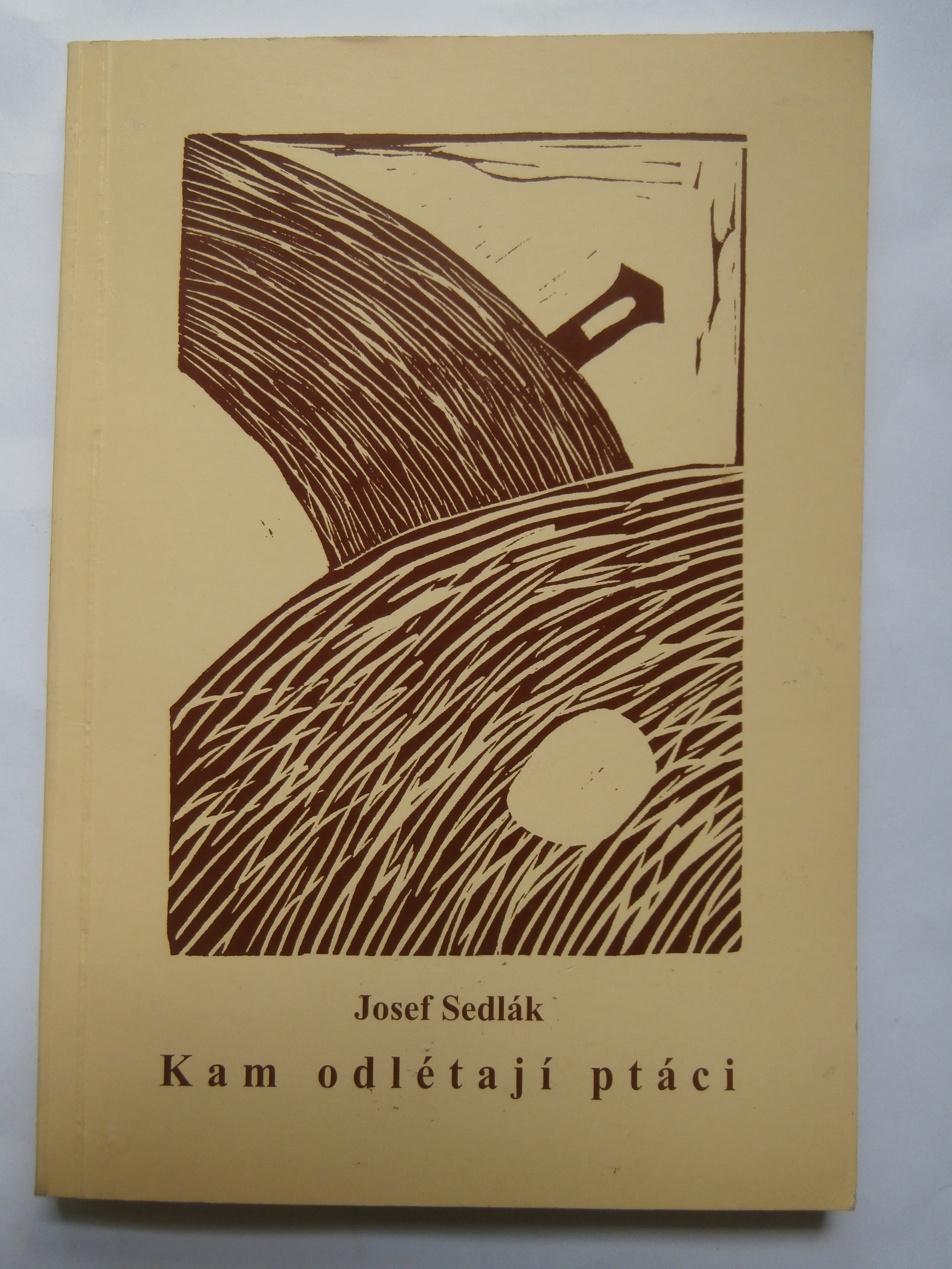 Kam odlétají ptáci