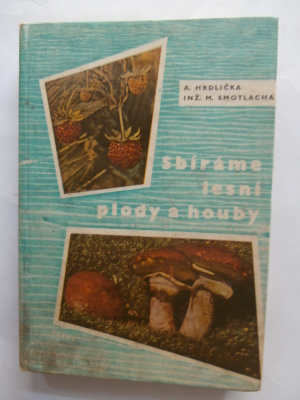Sbíráme lesní plody a houby