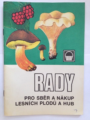 Rady pro sběr a nákup lesních plodů a hub