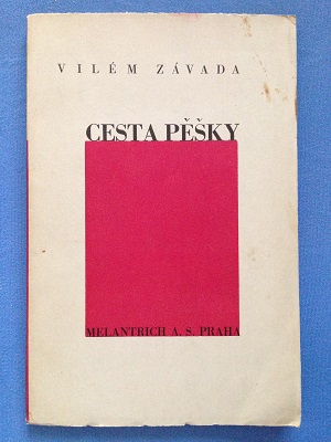 Cesta pěšky