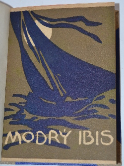Modrý ibis